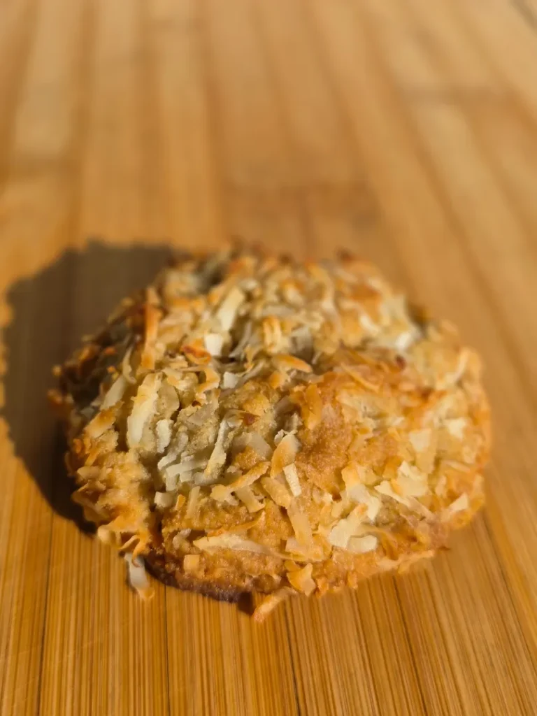 NY Style Sugar Free Chocolate Coconut Cookies